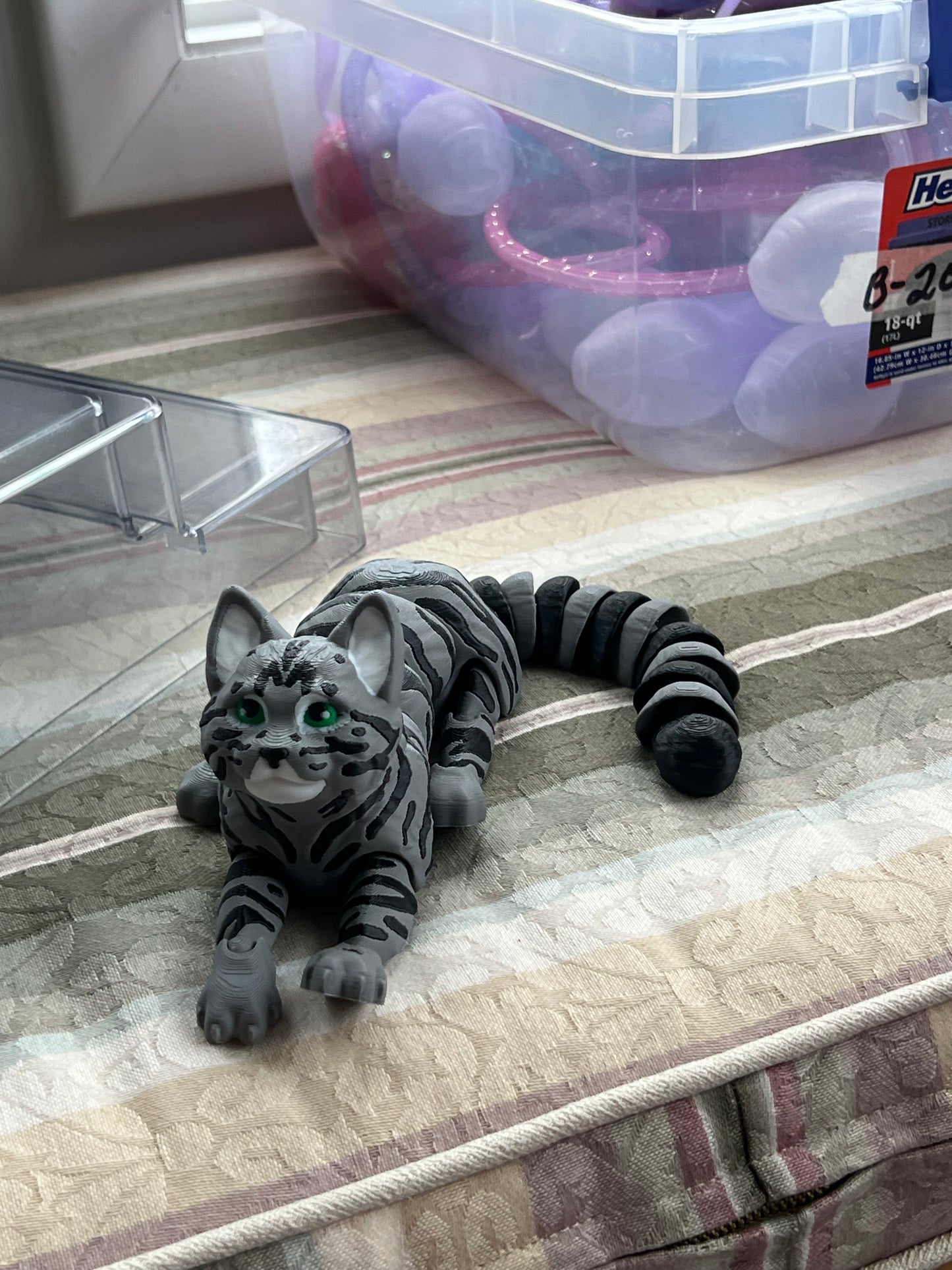 Custom Cat